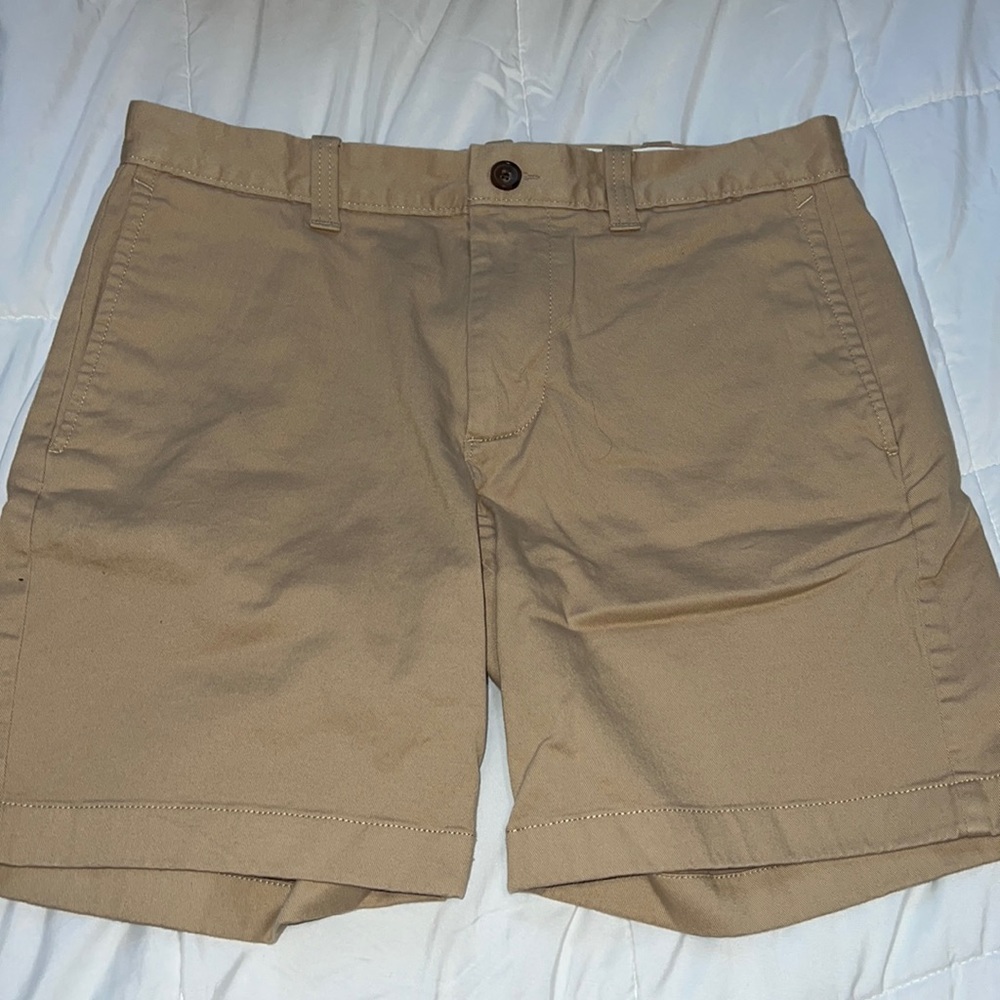 J.Crew Mens Shorts 30 W